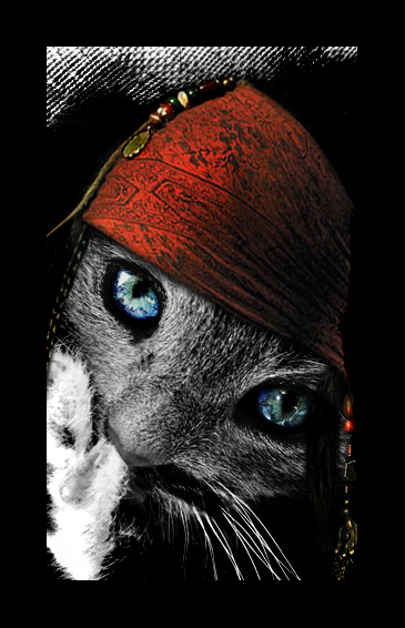 Captain___I_ate_the_Sparrow_by_Blood_Of_A_Pirate.jpg